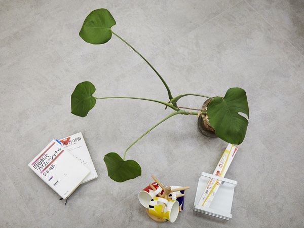清水正洋氏をつくる3つの要素、「観葉植物」、「雑貨」、「本」